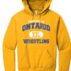 ONT Wrestling Gold Hoodie (4 Designs to Chose From!!!!) - Image 4