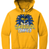 ONT Wrestling Gold Hoodie (4 Designs to Chose From!!!!) - Image 5